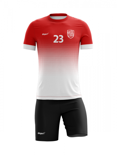 Sada FMS AKCIA (15ks + BRANKÁR ZADARMO)