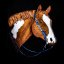 Machine embroidery - Variant: Strojní vyšívání