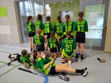 Gymnázium Chotěboř - dívky Gymnázium Chotěboř - dívky