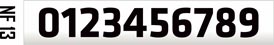 NF 13